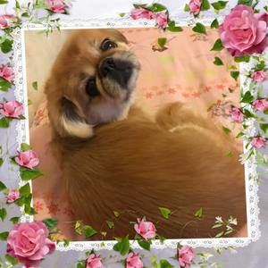 Meet your Posher, Sean